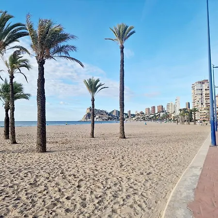 Mariscall Zaragoza Beautifull In The Centre Apartamento Benidorm